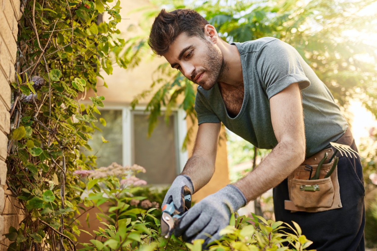 young man trimming plants in his backyard