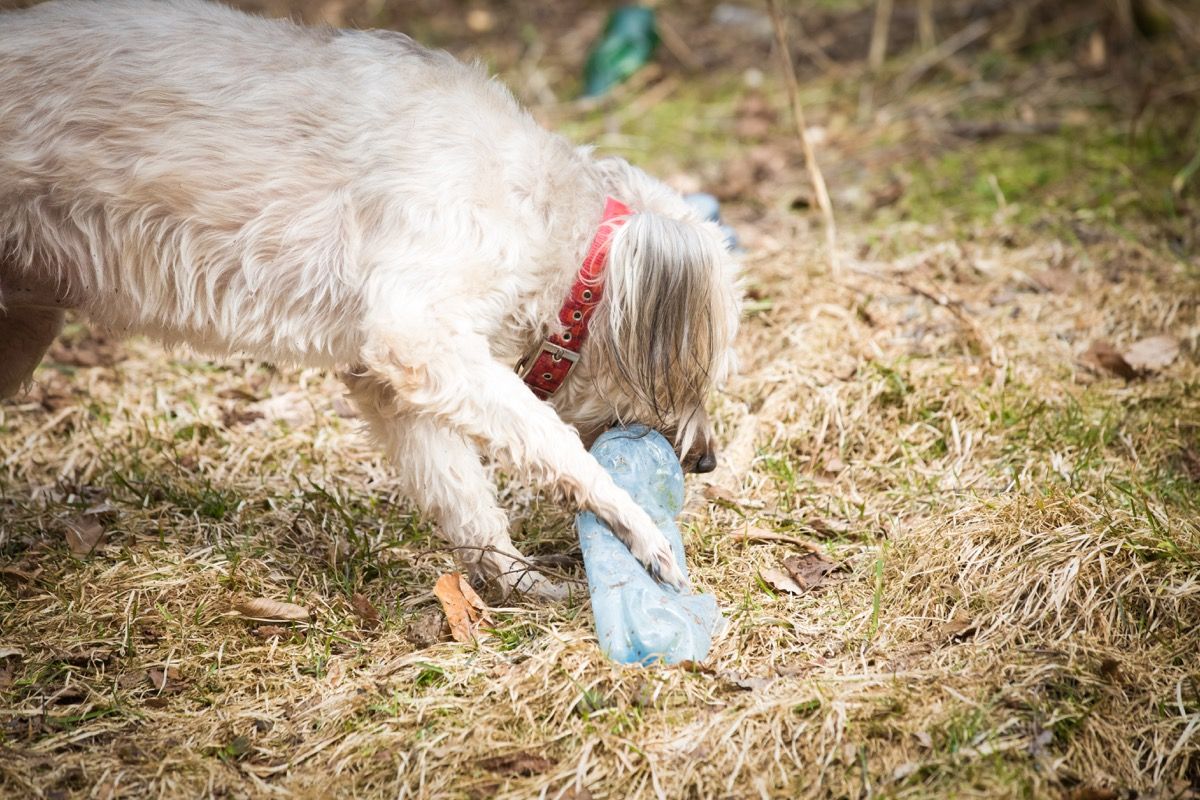 20 Amazing Second Uses for Old Plastic Water Bottles — Best Life