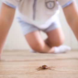 Little boy hovers over dead roach on floor, ways you're inviting pests into your home
