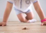 Little boy hovers over dead roach on floor, ways you're inviting pests into your home