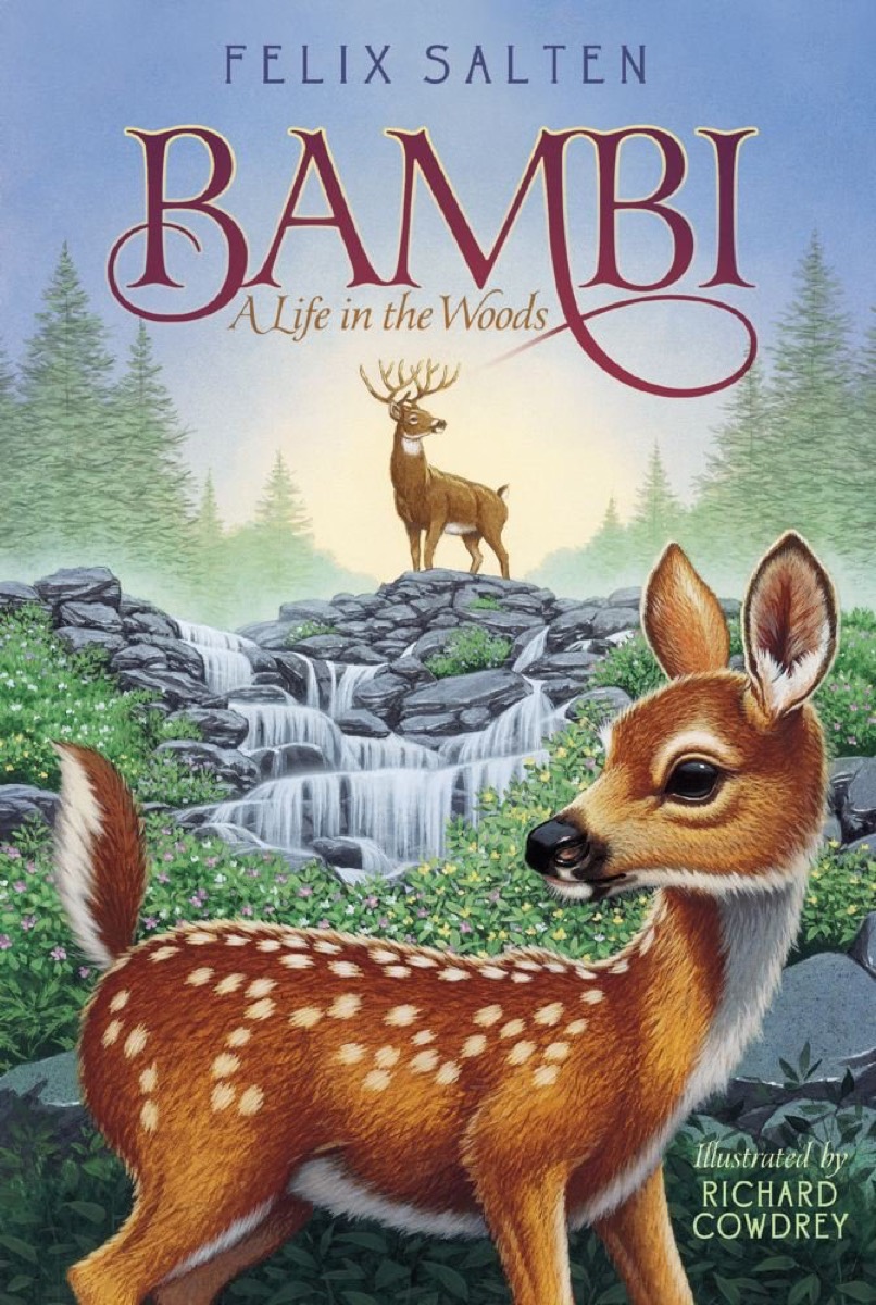 bambi book