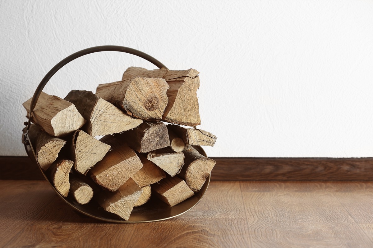 basket of firewood in home things in your house attracting pests