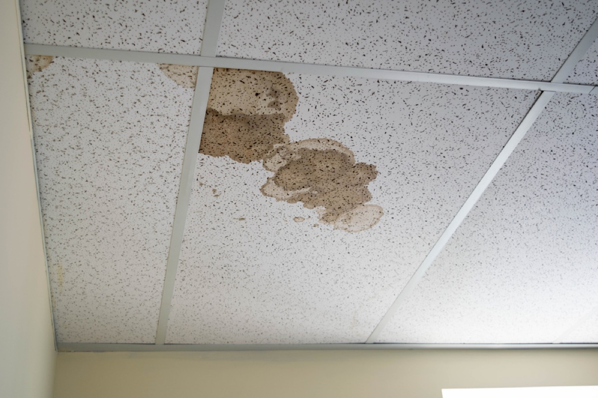 spots on ceiling, signs your home is falling apart