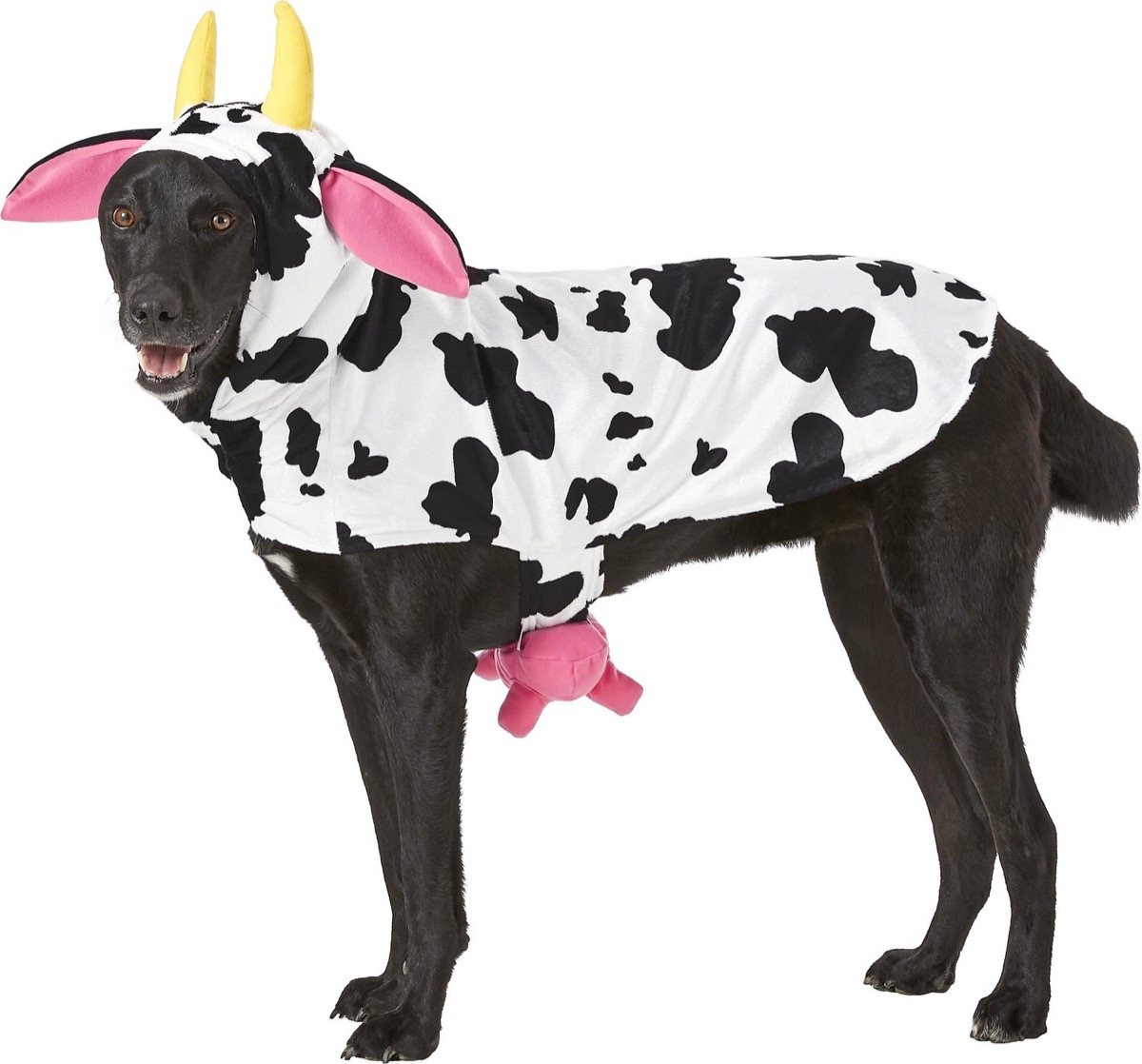 dog in cow costume, dog halloween costumes