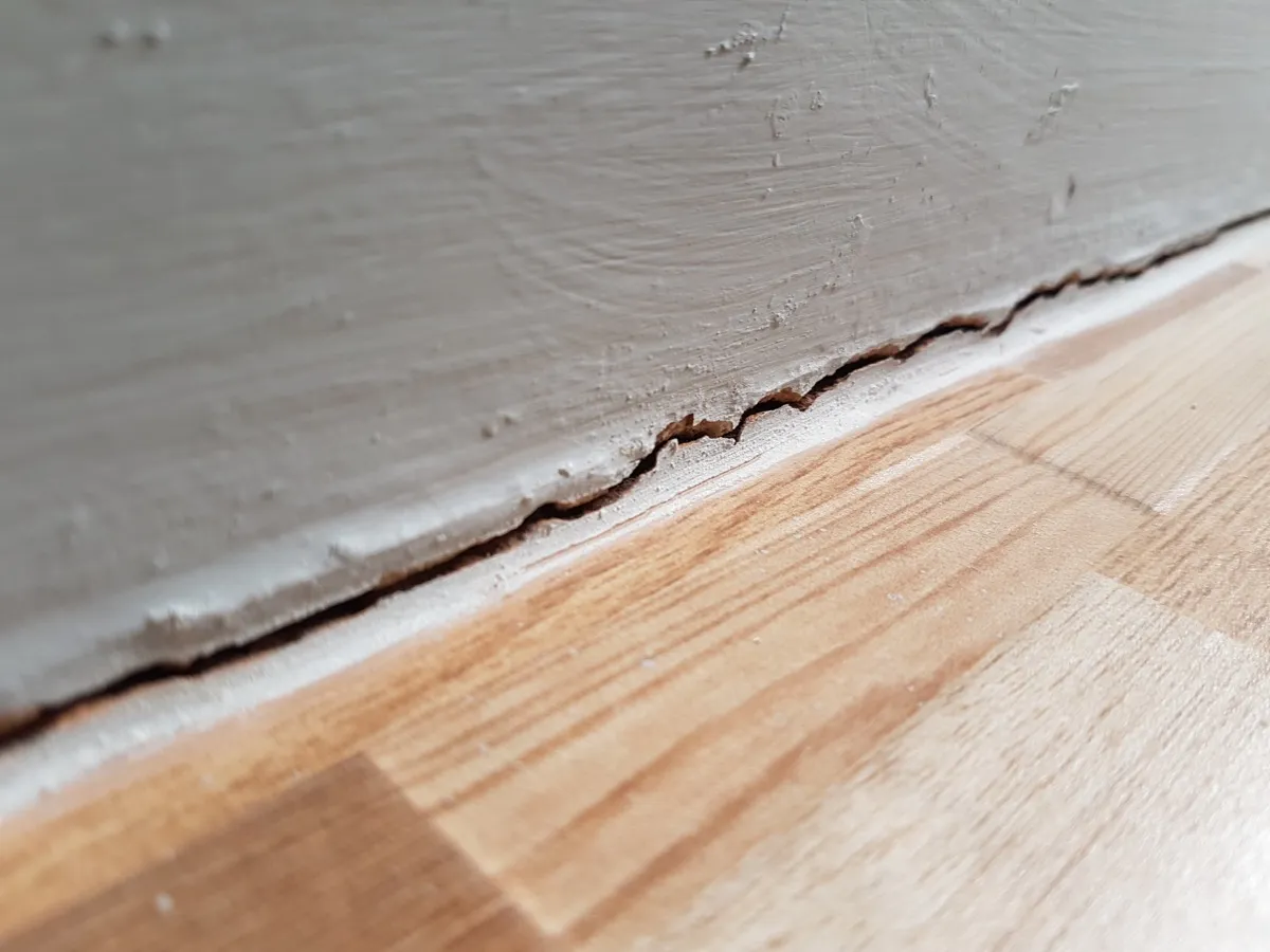 crack in wall of home things in your house attracting pests