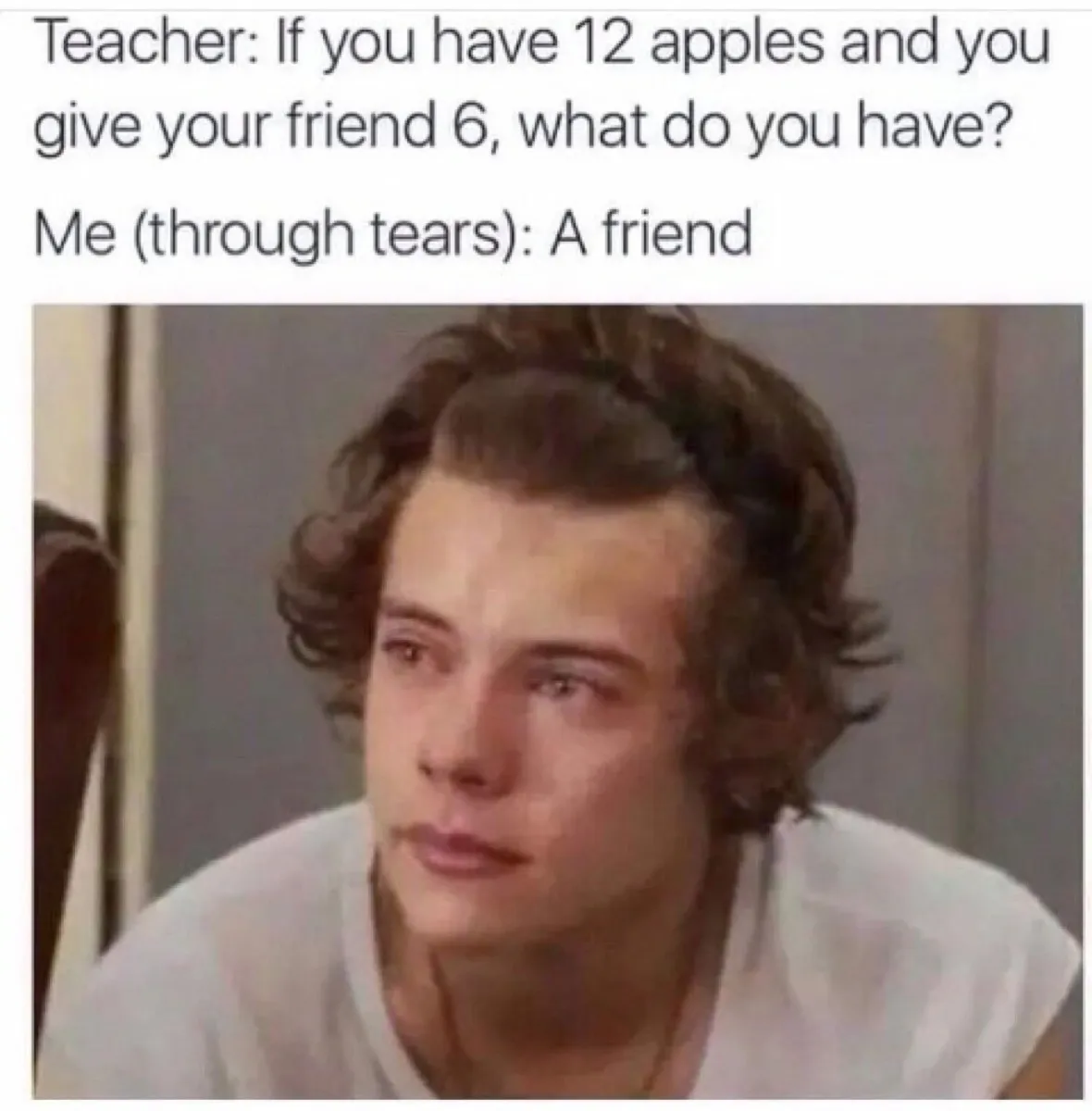 Photo of Harry Styles crying with the caption, "Teacher: If you have 12 apples and you give your friend 6, what do you have? Me (through tears): A friend."