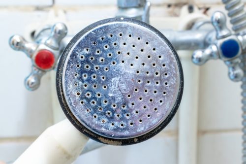 close-up of dirty shower head