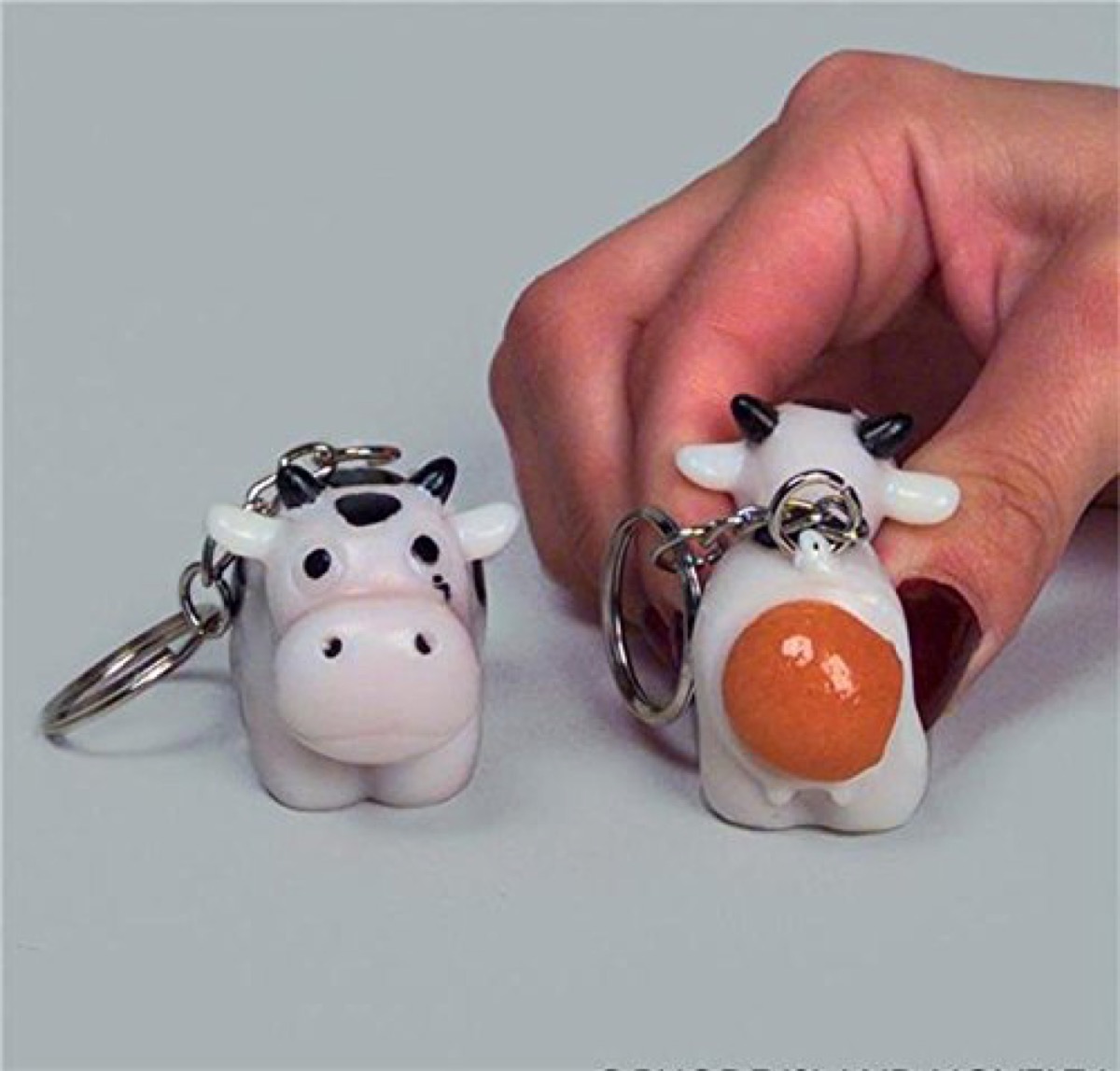 naughty cow keychain coolest school accessory every year