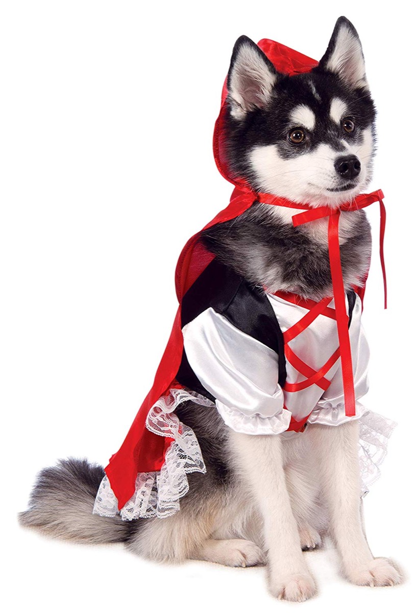 dog in little red riding hood costume, dog halloween costumes