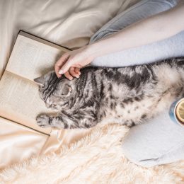 woman reading a book and petting a silver tabby cat while drinking tea