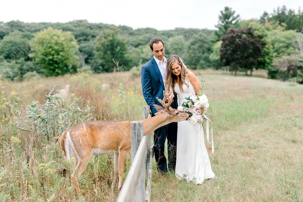 deer wedding photobomb
