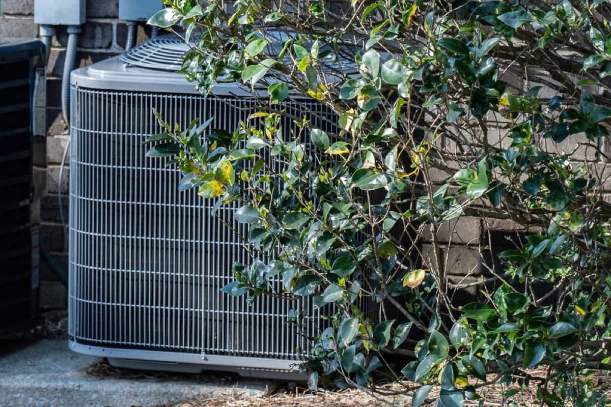 HVAC unit behind shrubs, ways you're damaging your house