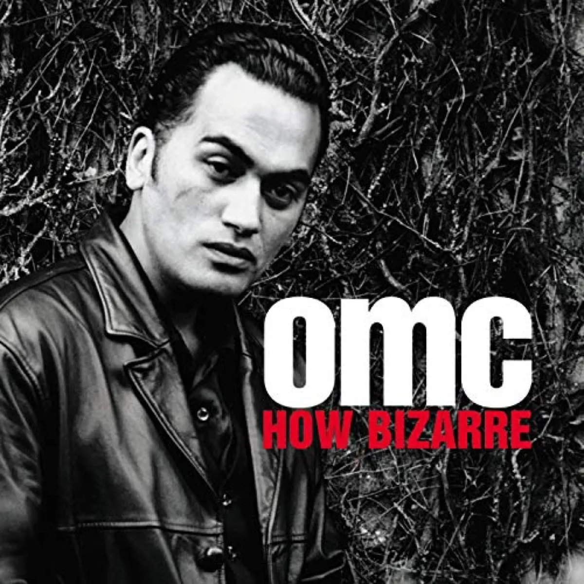 How Bizarre OMC Album Best One-Hit Wonders