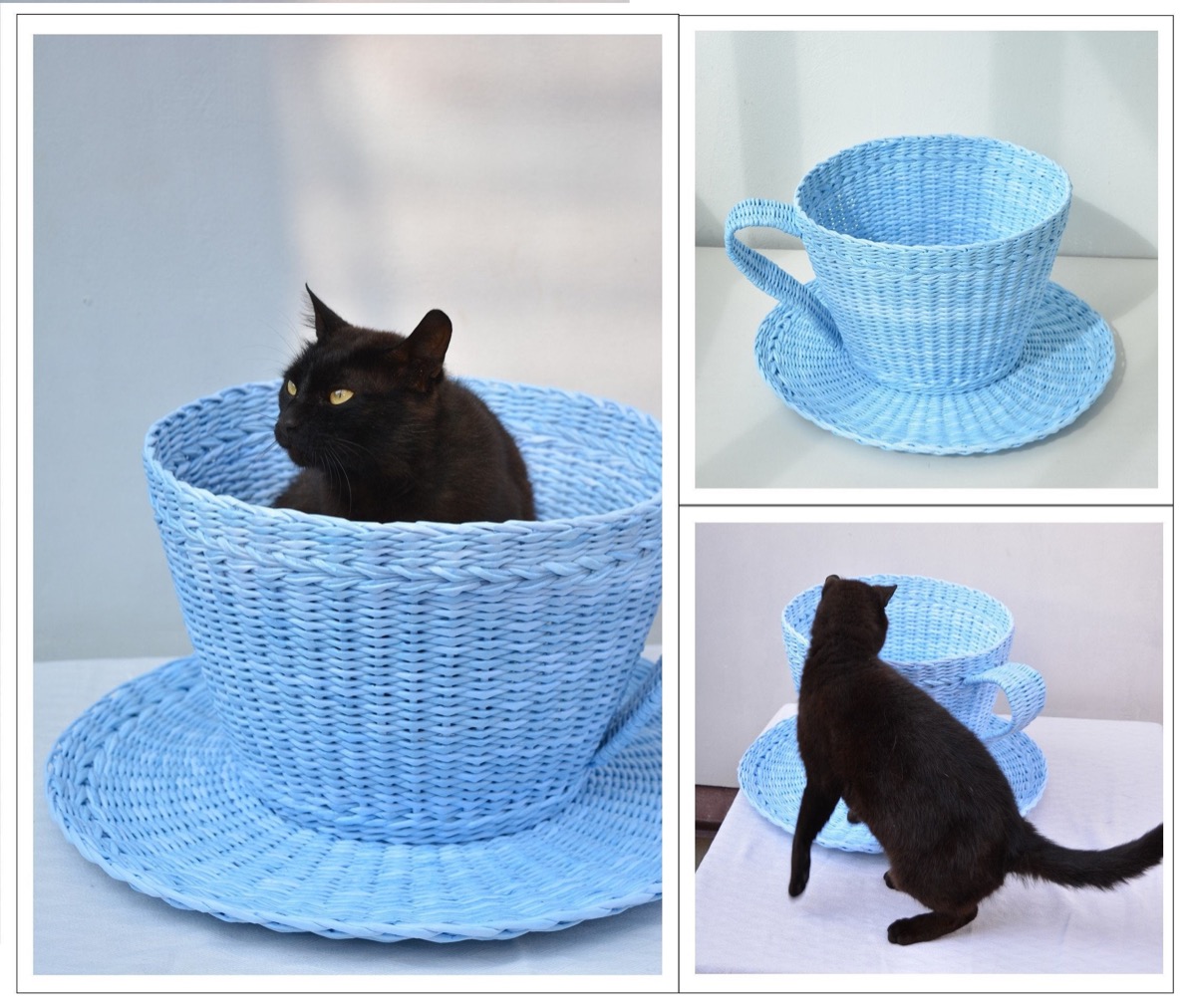 black cat in blue woven teacup, cat playground