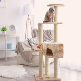 one orange and one gray cat playing on a cat tower in a modern apartment, cat playground