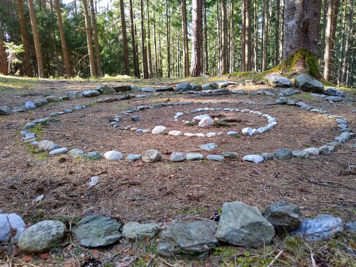circle made out of rocks mid forest