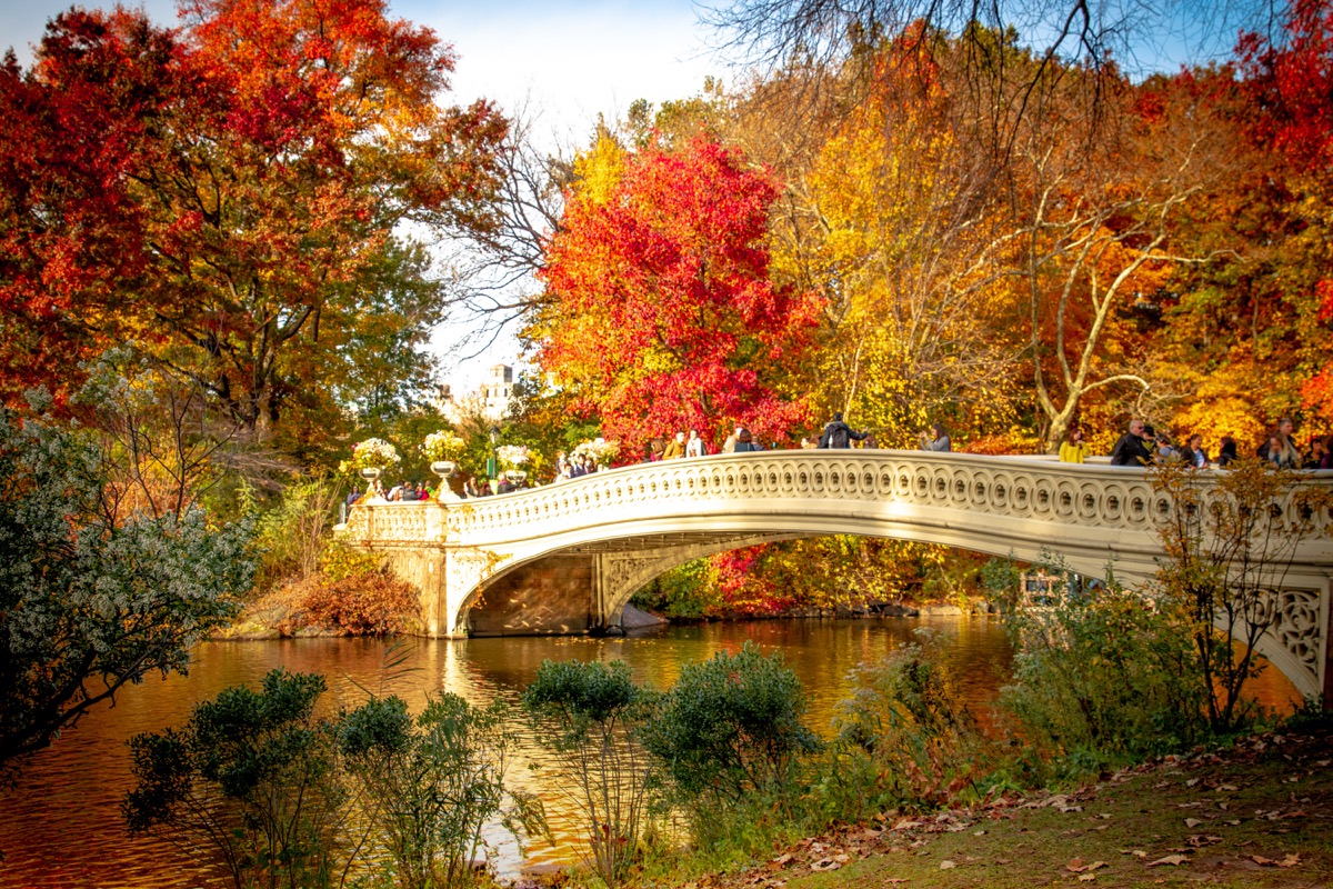 central park in fall