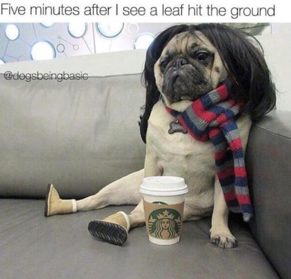 30 Fall Memes for the Autumn-Obsessed - Funny Fall Memes