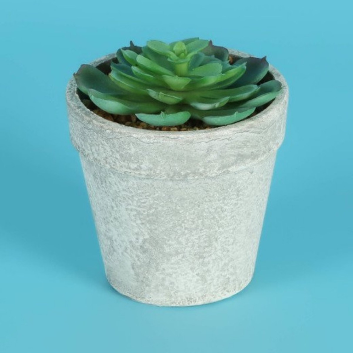 artificial succulent in pot, dollar store fall decor