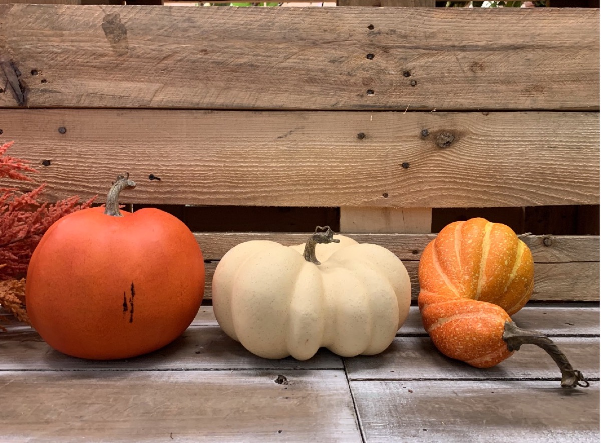 mini pumpkins in orange and white, fall decorating tips