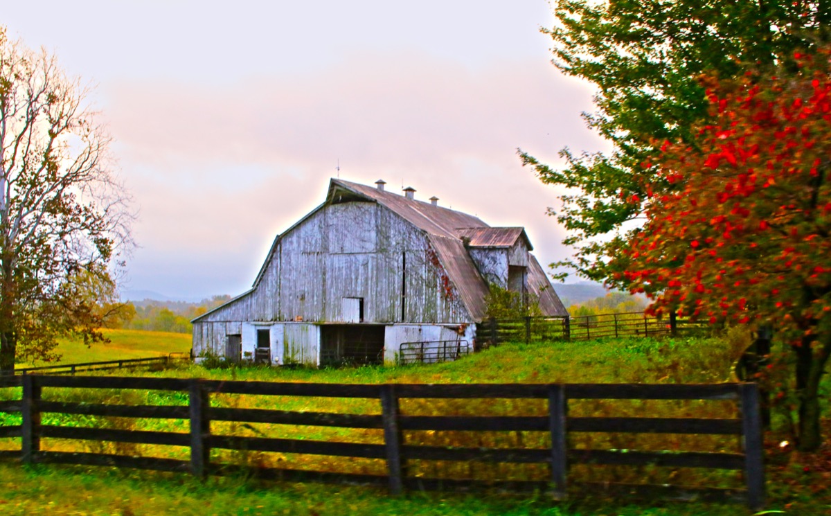 kentucky barn in fall