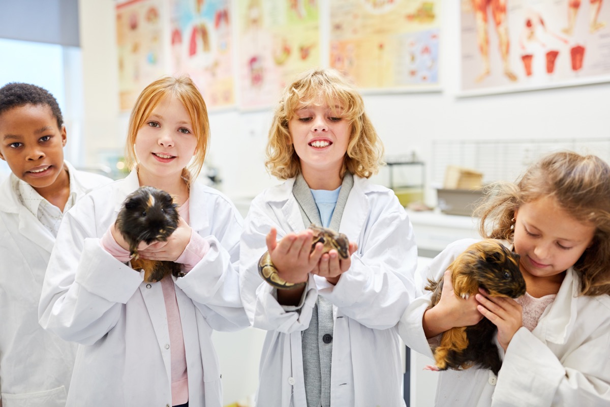 young children wearing lab coats and holding rodents