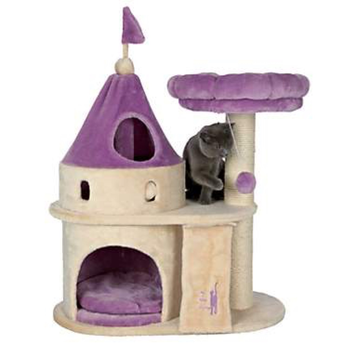 gray cat playing on purple cat castle, cat playground