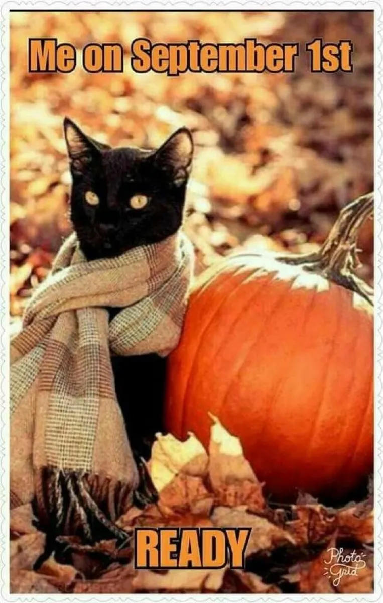 30 Fall Memes for the AutumnObsessed Funny Fall Memes