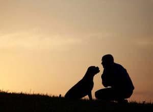 having a pet can reduce loneliness in older adults