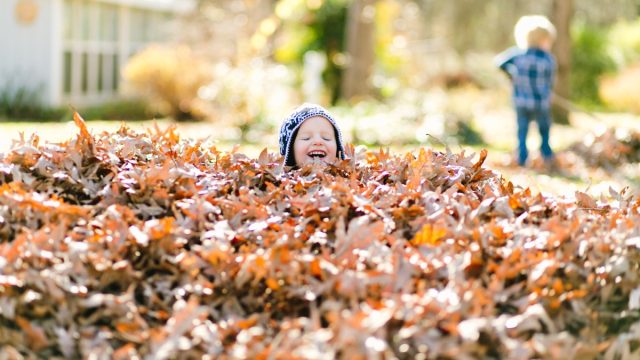 toddler jumping in pile of leaves in fall