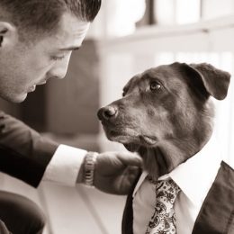 dog serves as best man at wedding