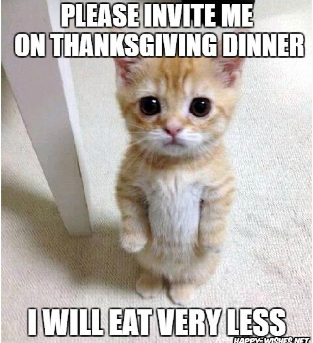 thanksgiving meme