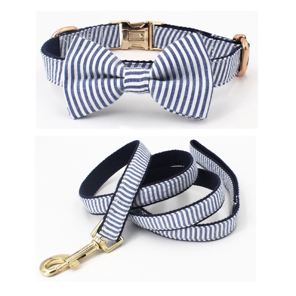 blue and white striped bowtie collar and dog leash