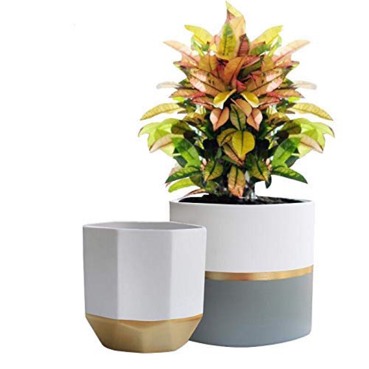 two ceramic planters