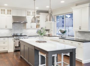 elegant modern open-concept kitchen