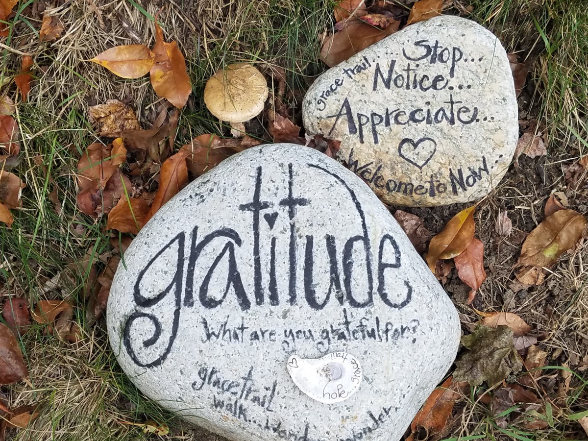 Rocks marked with messages about gratitude