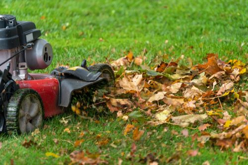 red lawnmower running over leaves and grass