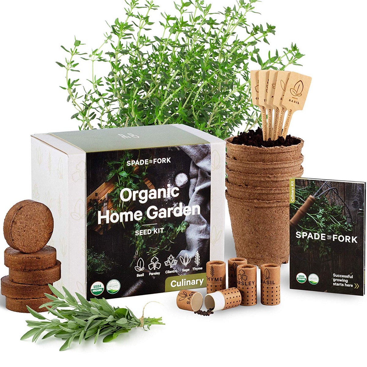 herbs, brown cardboard pots, and organic gardening kit