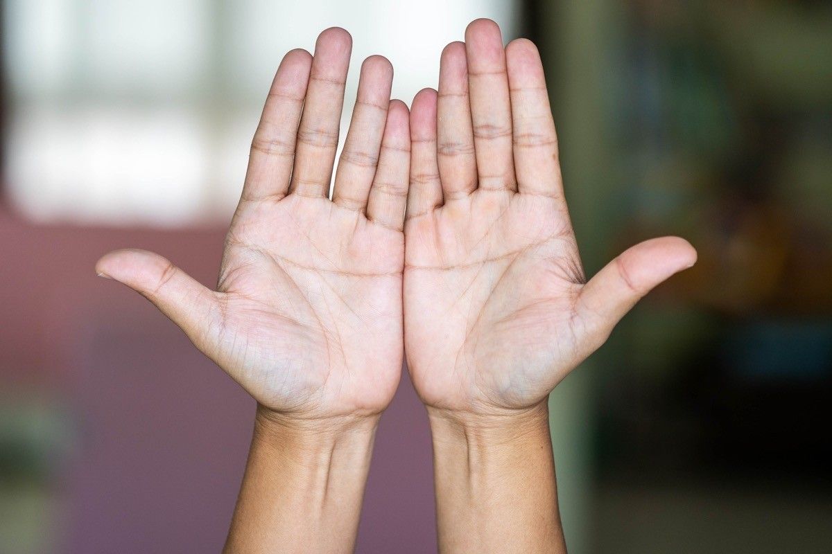 cupping palms,hands close-up  Hand palm, Hand holding something, Hands