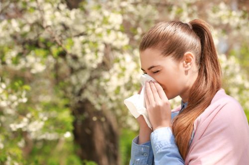 pollen allergy