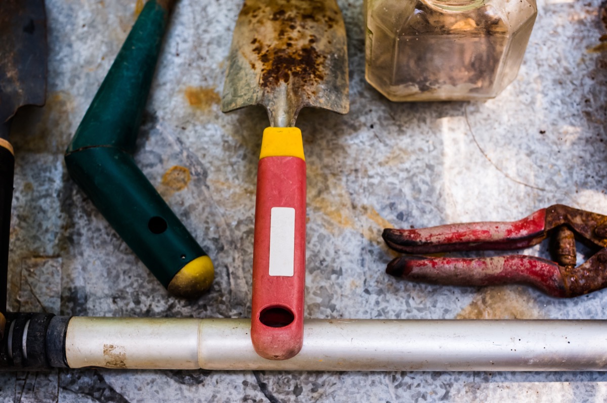 23 Surprising Things You Can Recycle - Recyclable Items — Best Life