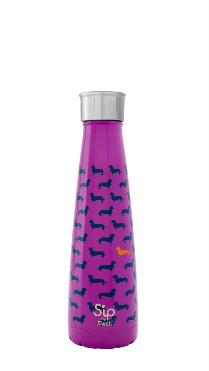 S'well water bottle with dogs on it