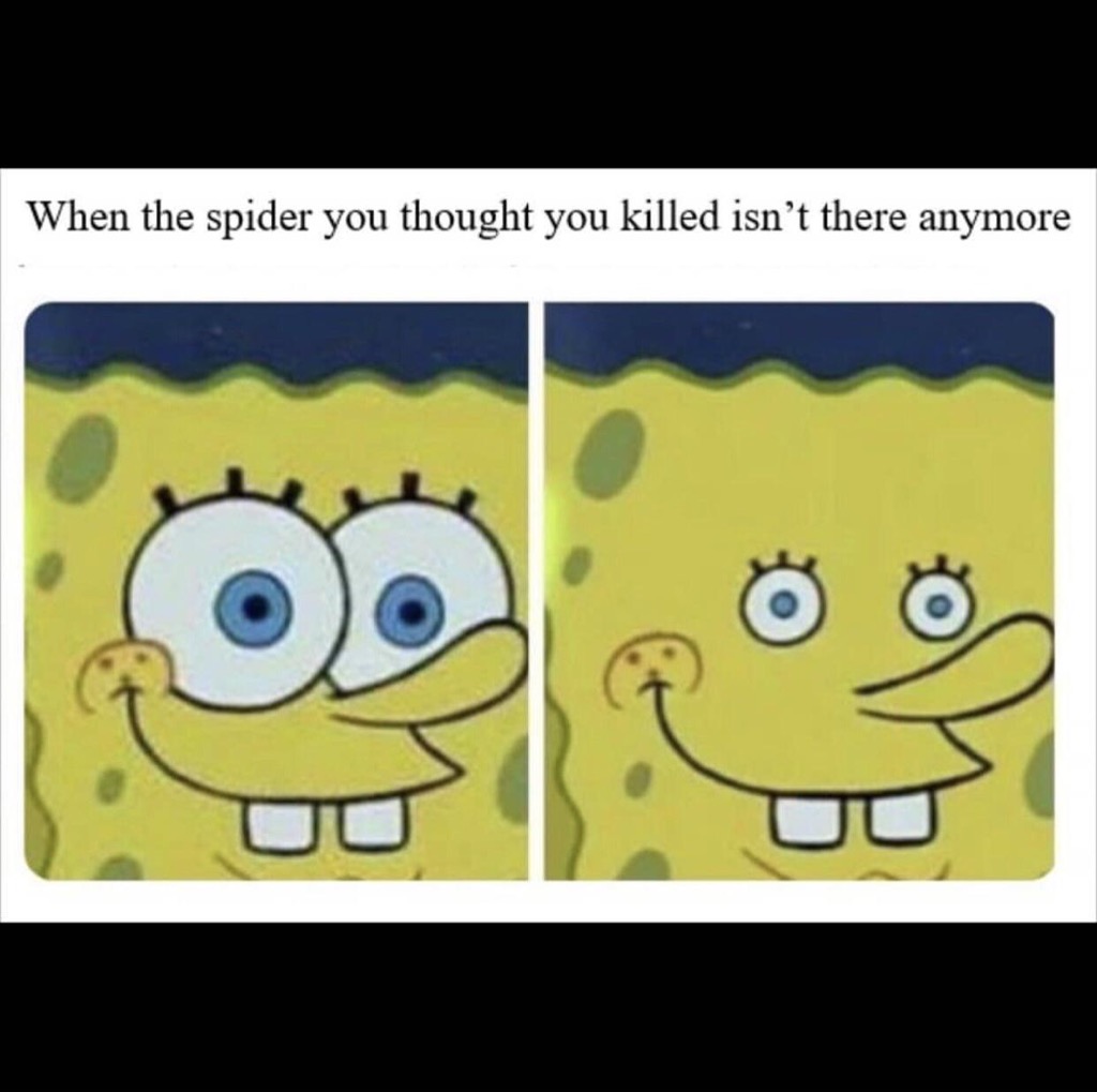 spider meme