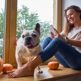 woman using phone, while sitting on a windowsill decorated for Thanksgiving, with her french bulldog