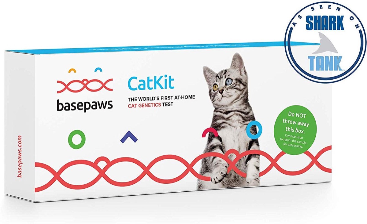 basepaws cat DNA kit