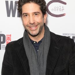 david schwimmer