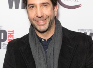 david schwimmer