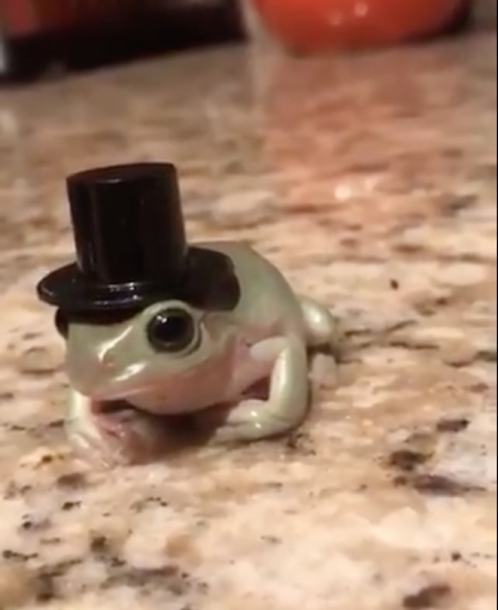 frog in a top hat