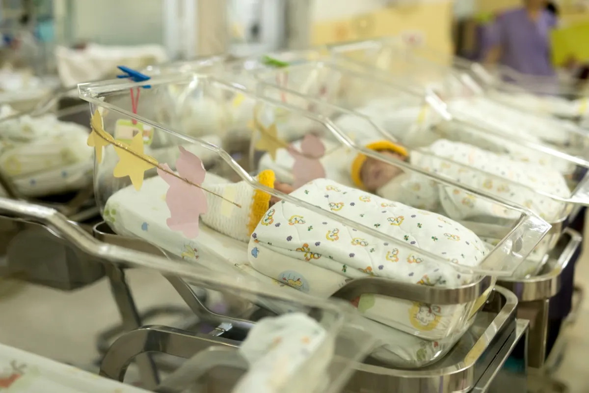 newborn babies in hospital