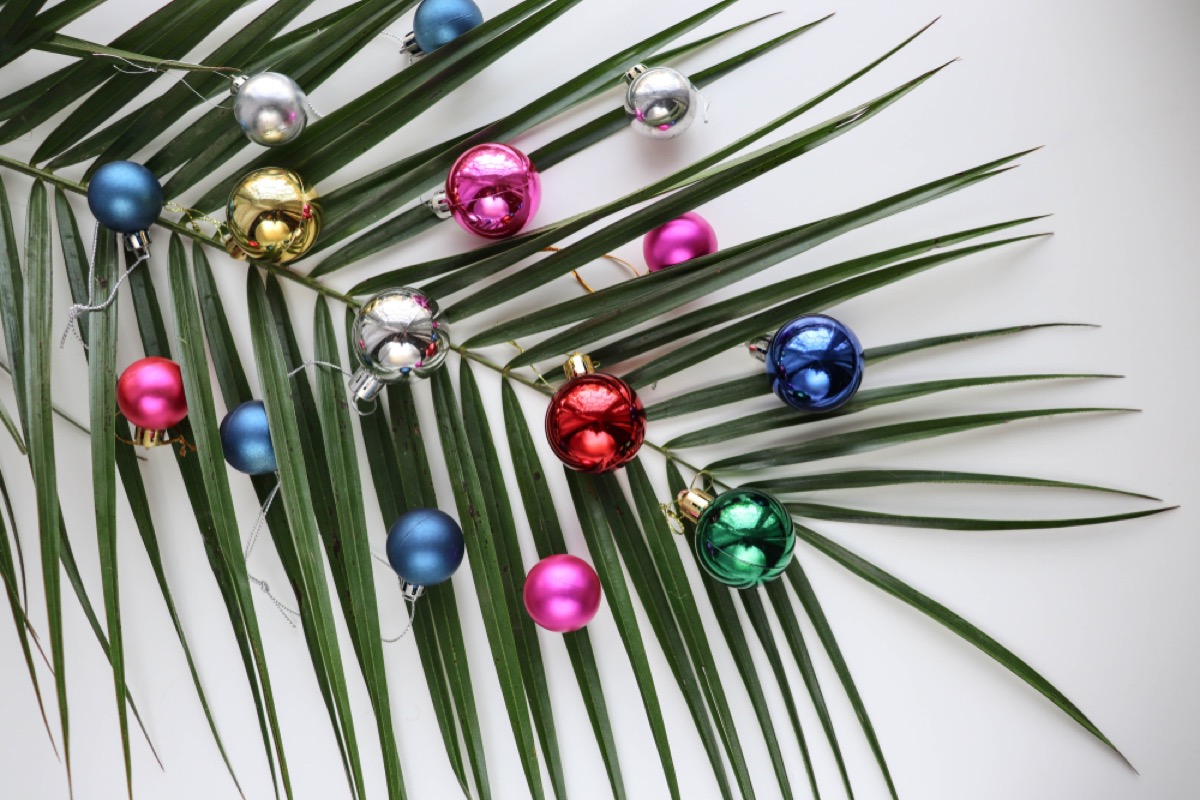 palm branch with christmas ornaments